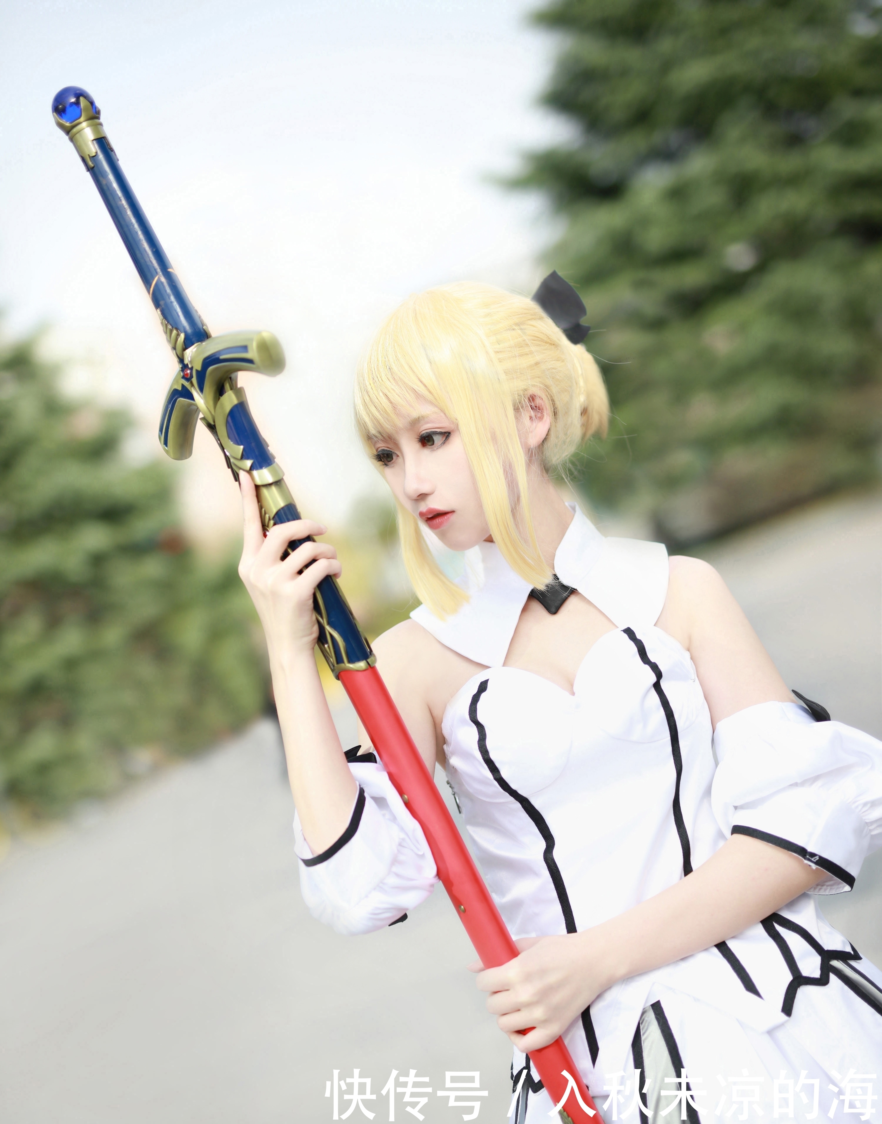 a8341|【cos正片】Saber Lily