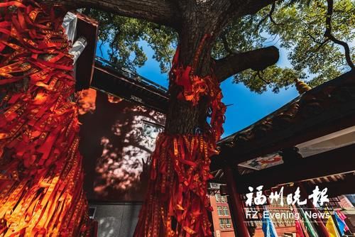 “明艳”金山寺 数说“最风景”