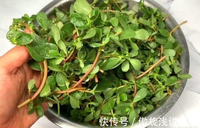 长寿菜|小小马齿笕,功效可不少,五脏俱全的长寿菜,城里人想吃都难买