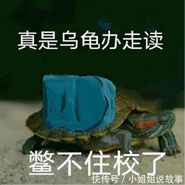 |搞笑表情包更新:再坚持坚持,一辈子很快就过去了