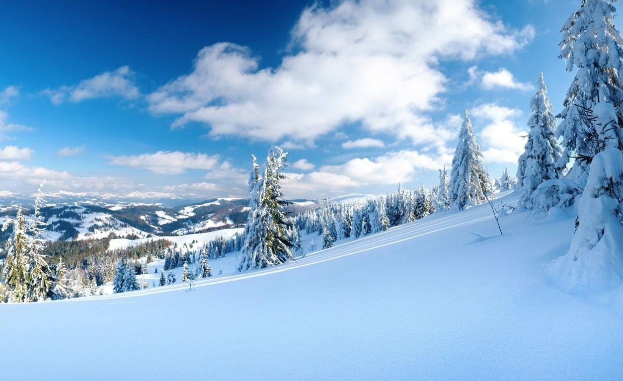  俗语|农村俗语“大雪没有雪，骡马不停歇”，你知道是什么意思？