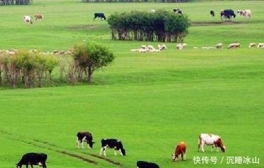 十五首描写小草的古诗词,为君闲暇助兴,茶余饭后解闷