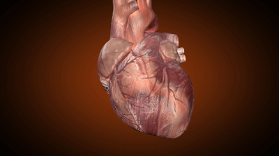 热身|年过50岁,还能跑步锻炼吗?注意做好这4个方面,有益健康更安全