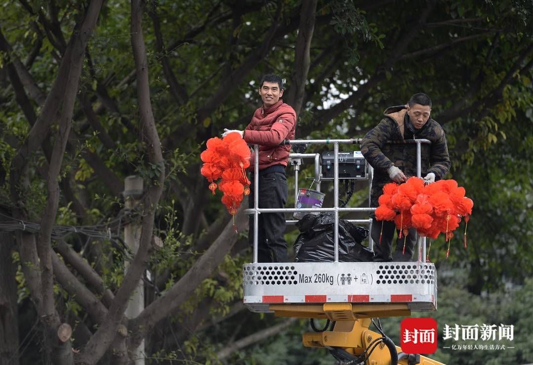 杨涛|春花灯笼相伴 成都街头年味浓