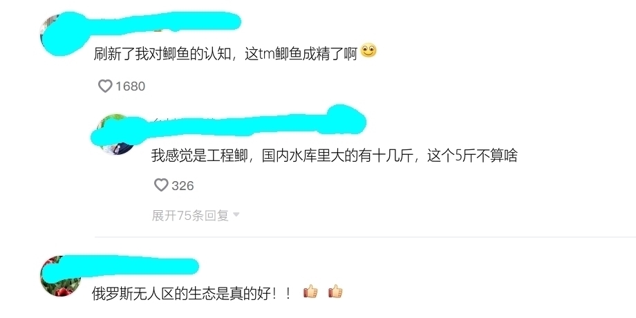 野生鲫鱼能长到半米长?北方钓友无人区钓起5.2斤野生大板鲫