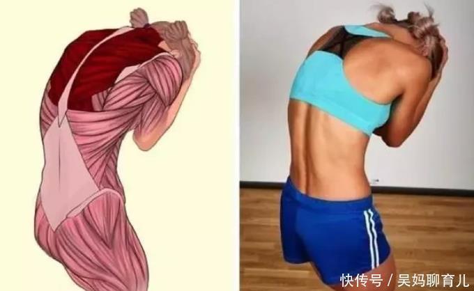 腘绳肌|全身拉筋3D图解,一步到位,在家也能强身健体