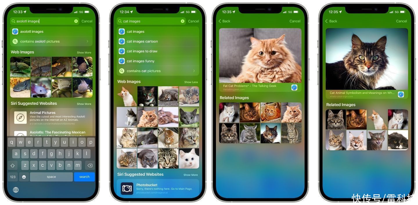 谷歌|比安卓做得更好，iOS 15通用搜索功能这么牛逼？