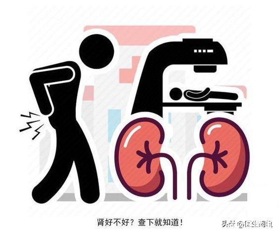 肾脏功能|预防尿毒症，这4类高发人群要多留个心眼，避免被“盯上”