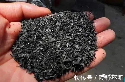 花土|花盆里撒一把“粉末”，防冻杀菌增肥力，根壮叶绿，猛长个！