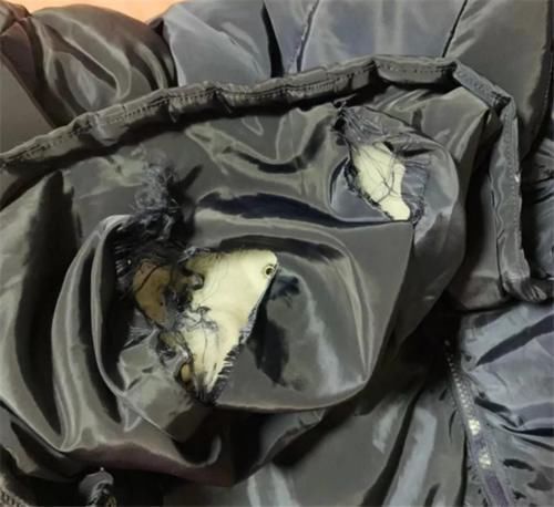 衣物|孩子每次回家都说冷,宝妈怀疑校服有问题,剪开校服后宝妈哭了