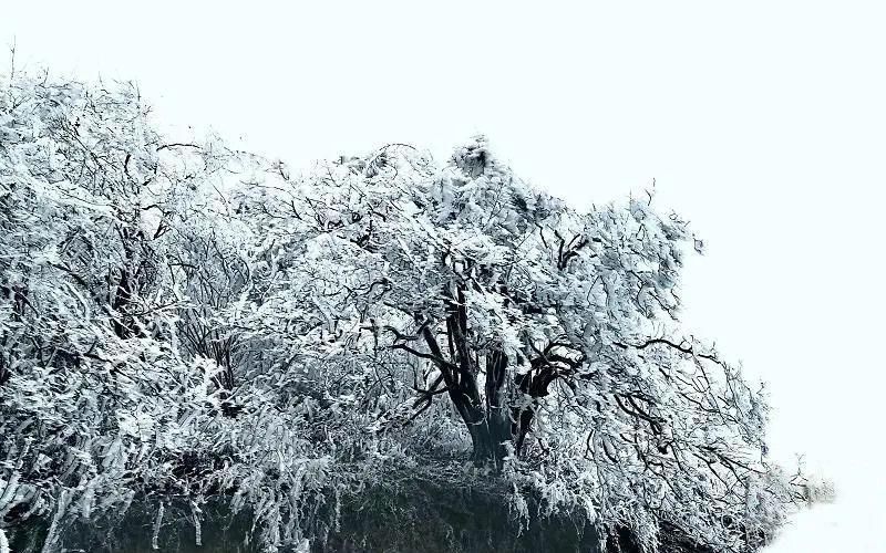 堪称|麻阳西晃山，雪中之景堪称奇峰异景