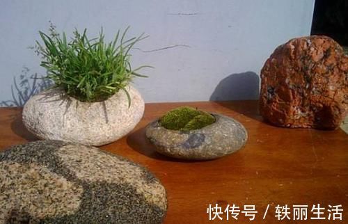 养花烂根不是大问题!土里埋点它,根须刷刷长满盆,越来越壮实