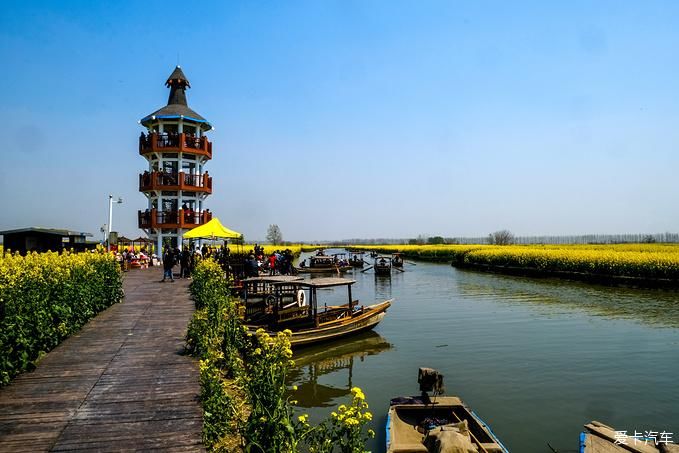 中年|春暖花开游江南-千垛景区水上森林之旅