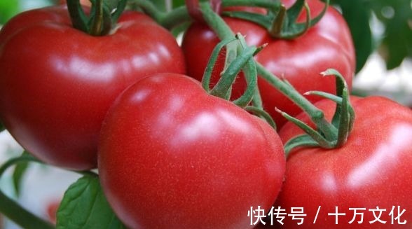 维生素人到中年常吃四种食物,排毒消脂,美容护肤,谁吃谁受益