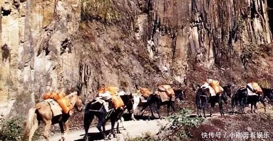 跋涉|川藏茶马古道，一部雄厚苍凉的人类跋涉史诗