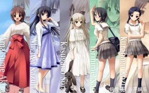 外星人|当二次元设定出现在现实,头部骨骼成研究对象,大眼让人害怕