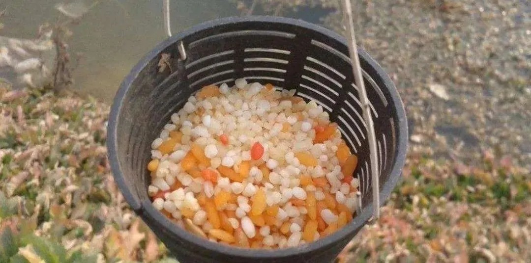 冬天钓鱼打窝有讲究？掌握这三个技巧，分分钟钓上大板鲫！