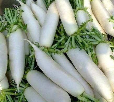 买萝卜时，遇到这4种坚决不买，掉头就走，菜贩：这人不好忽悠