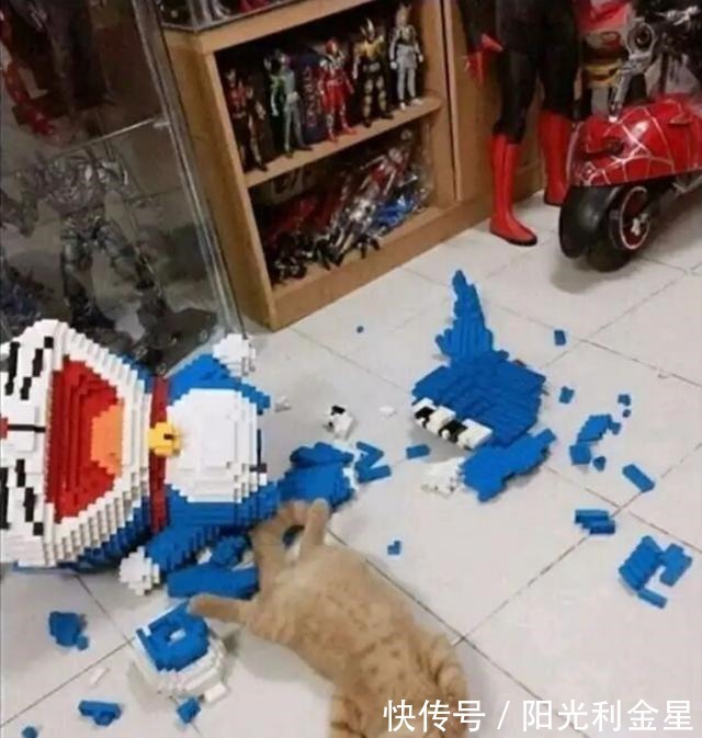 哆啦小猫弄坏手办爱好者拼起来的哆啦A梦,之后会怎么样小猫呆了