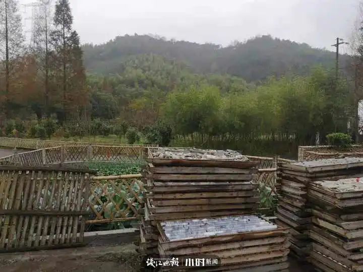 新闻记者|惊艳!一地发现500万吨“夜明珠”,粉、绿、紫、黄各色都有