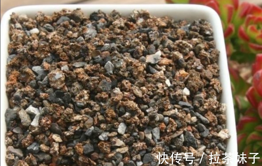 养花小技巧,花盆下面垫5种“东西”,可避免出现烂根黄叶