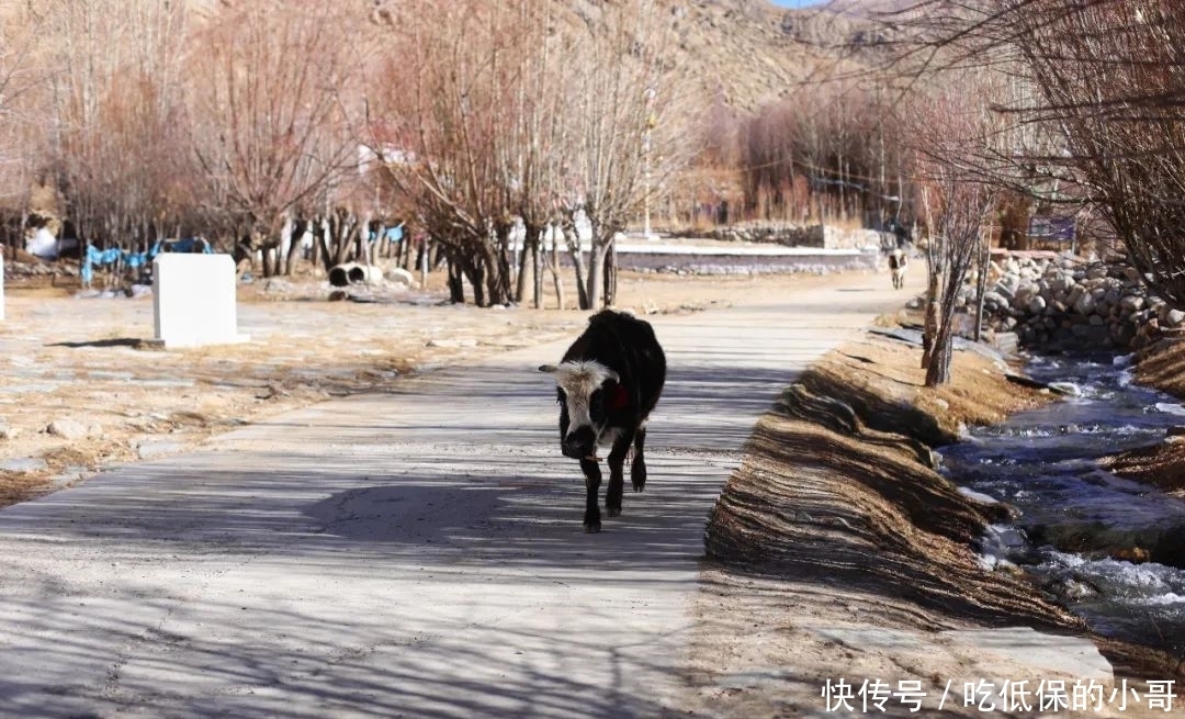 30多种藏草药？纯手工制作？走进藏香发源地，探秘背后的故事