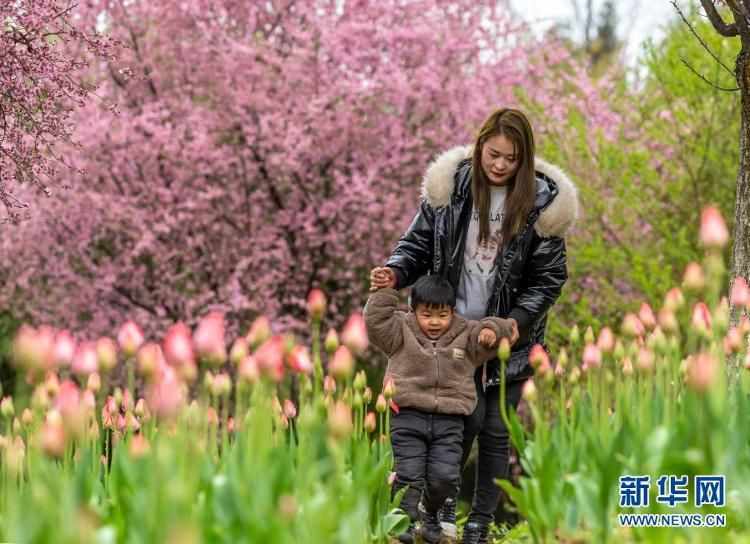 花开游客来