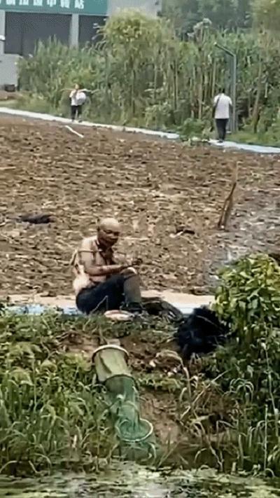钓鱼误触高压线!嘉兴男子衣服全碎,头成“煤球”,他错在哪里
