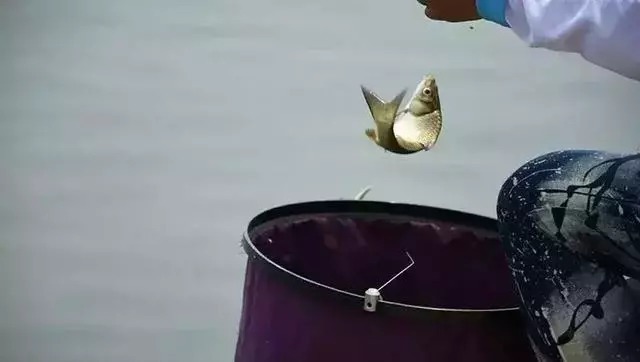 钓鱼5个小窍门，让你的空杆率降低45%以上，渔获爆护！