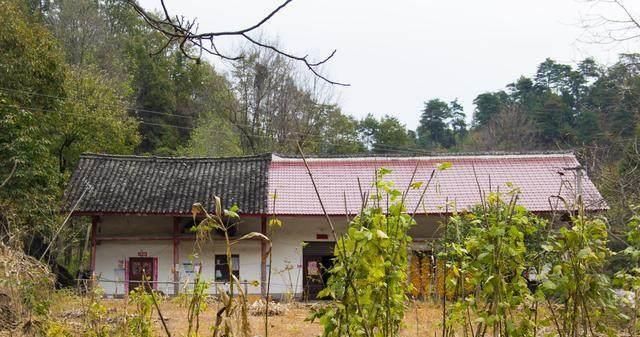 晾晒|自家晾晒的稻谷被偷，兄弟晚上蹲守，发现偷的人傻住