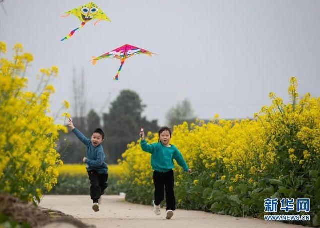 此时春正好