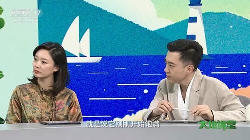 李七月|央视《大地讲堂》出现新面孔,李七月主持机会再次缩减