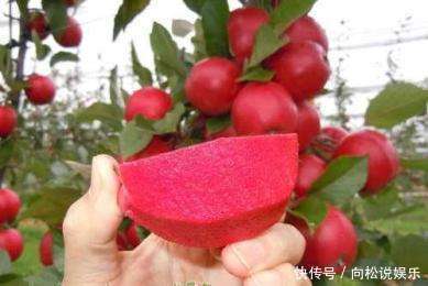 女人|女人三伏天不容错过此果,每天食一个,防癌,美容养颜,淡化色斑