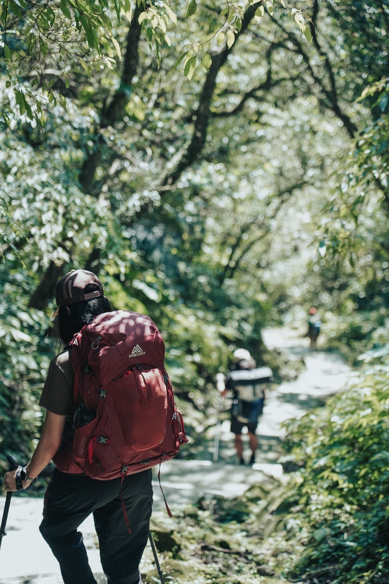 收纳|适合登山的大牌背包品牌，Gregory格里高利新款背包实测体验