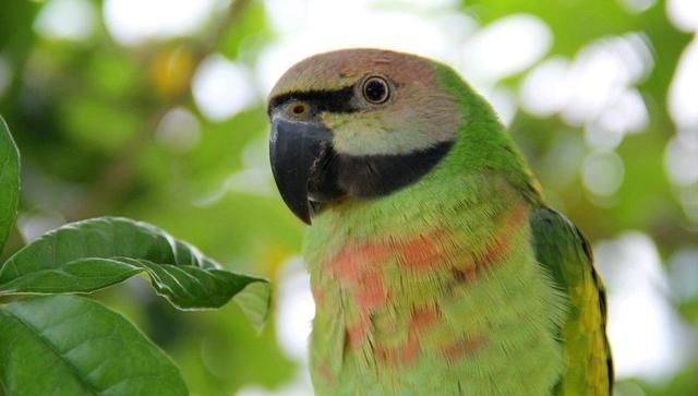 回到过去变成猫&推荐3本高分小说,一本无限流,一本温馨日常,一本无敌爽文