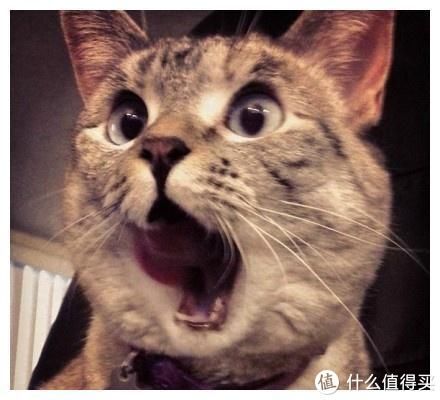 开关|记一次悲喜交加的搞机，不开盖子开机哟