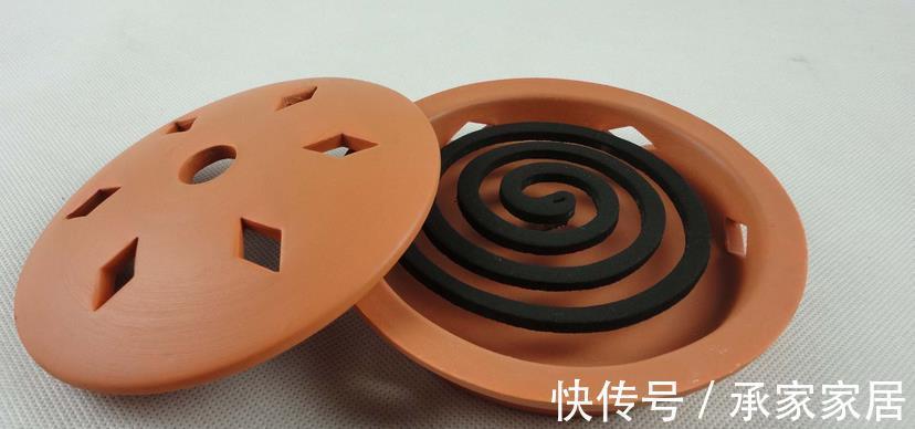 重症|立秋前后,蚧壳虫来袭咋办?养多肉轻症用蚊香,重症才用杀虫剂