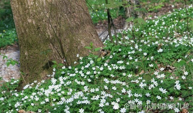 轩轩|带孩子尽量多去三个地方,孩子不想优秀都不行