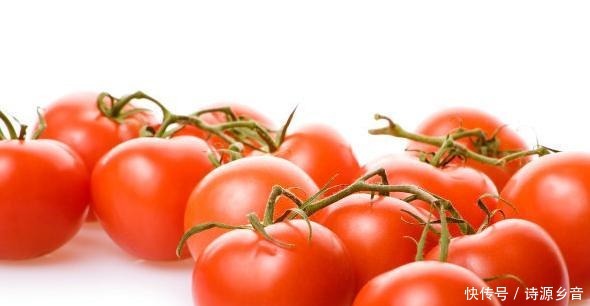 搭配|西红柿营养丰富,却不适合与这2种食物搭配,不妨了解一下!