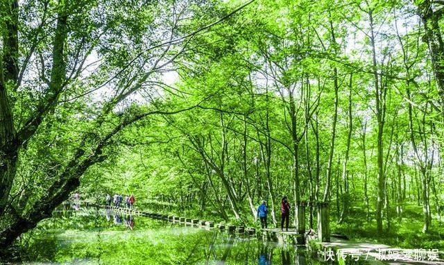 五一旅行好去处：黄山西溪南湿地，是安徽的“世外桃源”！