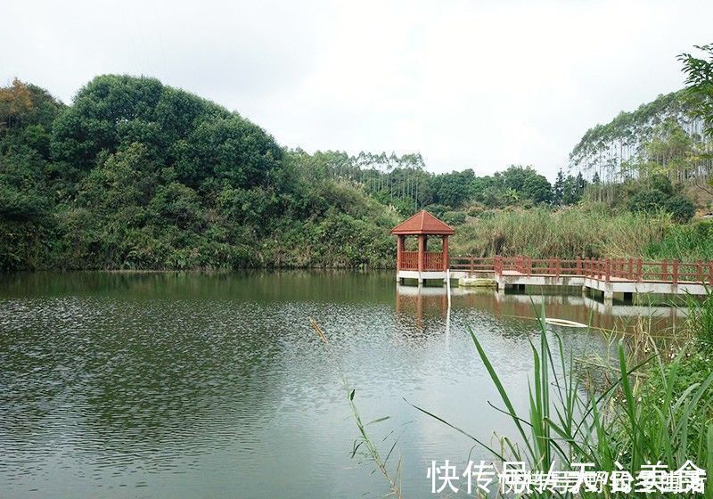 线组|钓鱼千万不要跟新手抬杠,因为根本抬不住