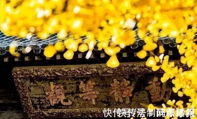 释文珦#诗僧笔下的秋天,不仅有最美的秋色,还有浓浓禅意,令人回味无穷