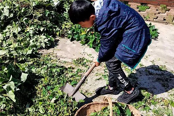 孩子们|汉阴县城关镇太平小学：晒德育作业 促健康成长