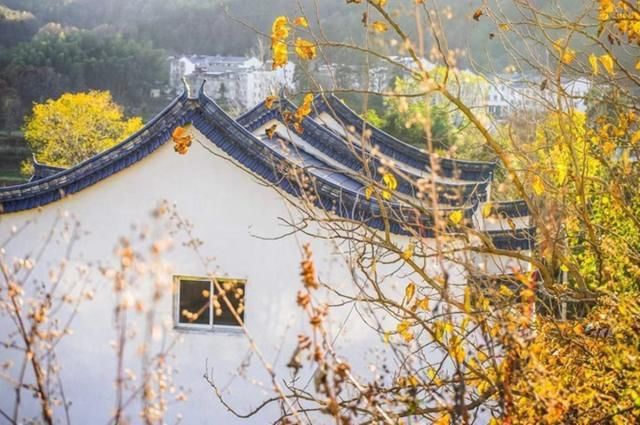 藏于大别山区的“天路”，自驾难度很高，沿途尽是原始野性