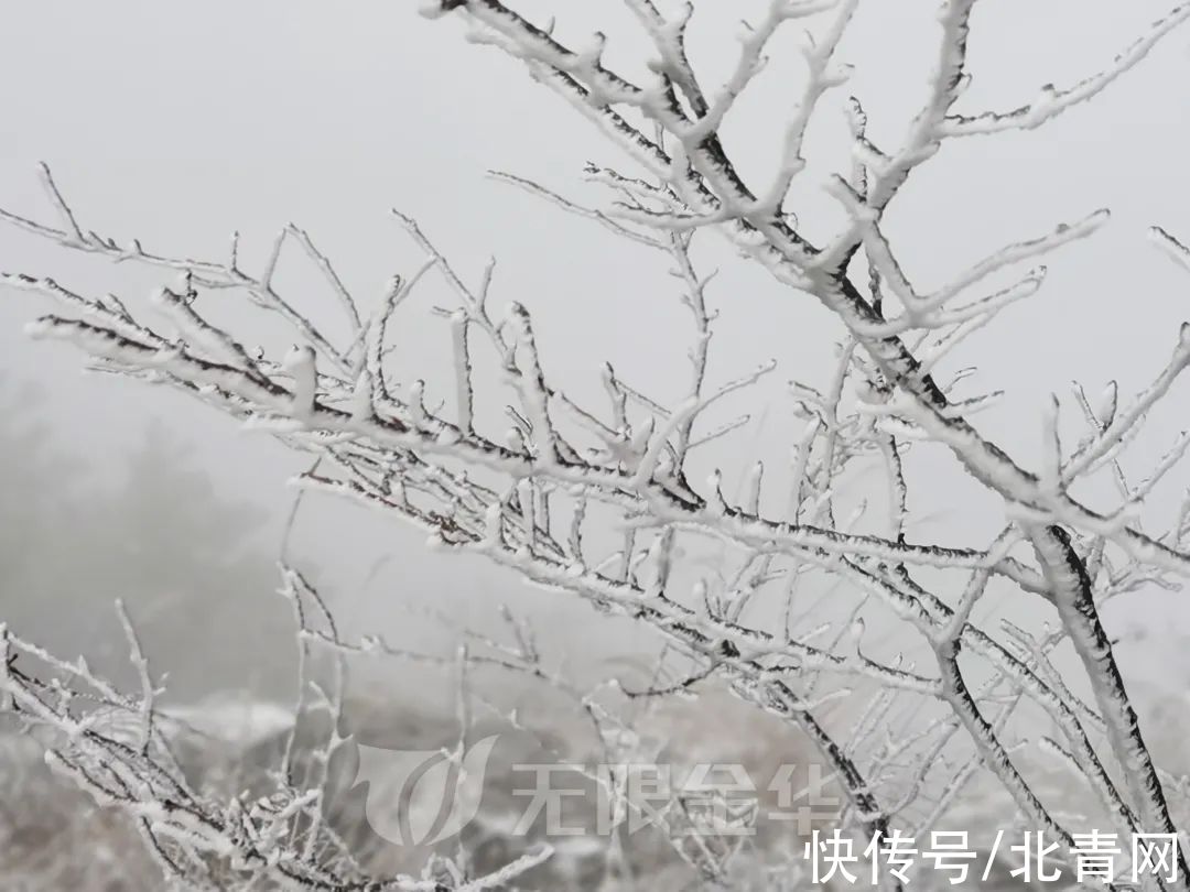 临安|浙江多地下雪！一地积雪厚度达3公分……