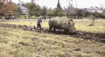 |搞笑GIF趣图:很霸气,很个性的老板啊