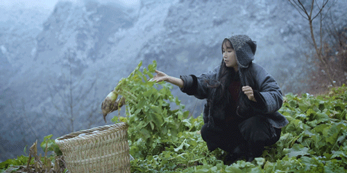 一物一生，吃完萝卜，一生系列就停在这里了吧