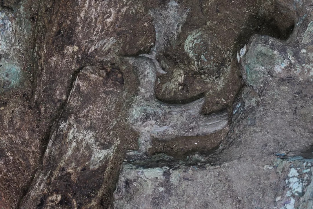 新发现|前所未见!这里有新发现!