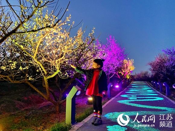南京溧水开启夜间赏梅模式 暗香浮动游人如织