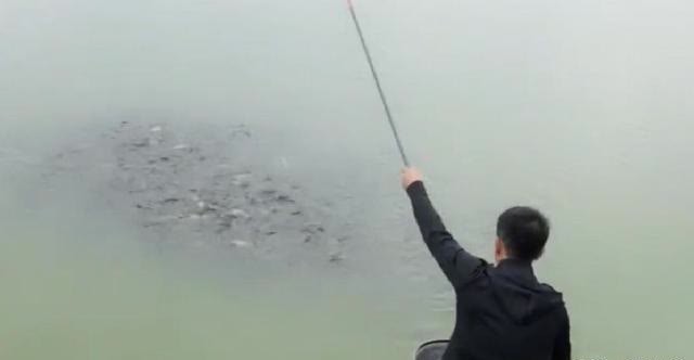 晚春前后的打窝方式为何如此不同？原因很简单，但很多钓友不知道